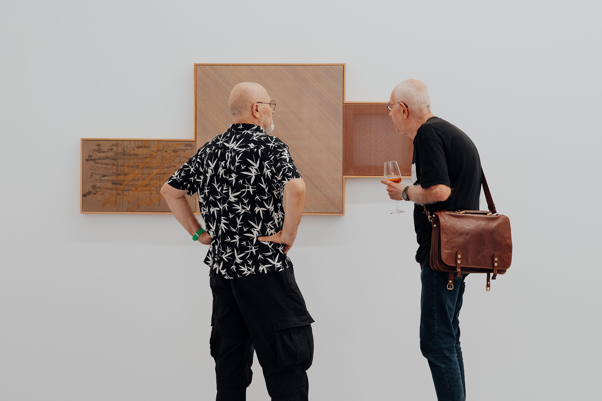 ARSMONITOR deschidere_11