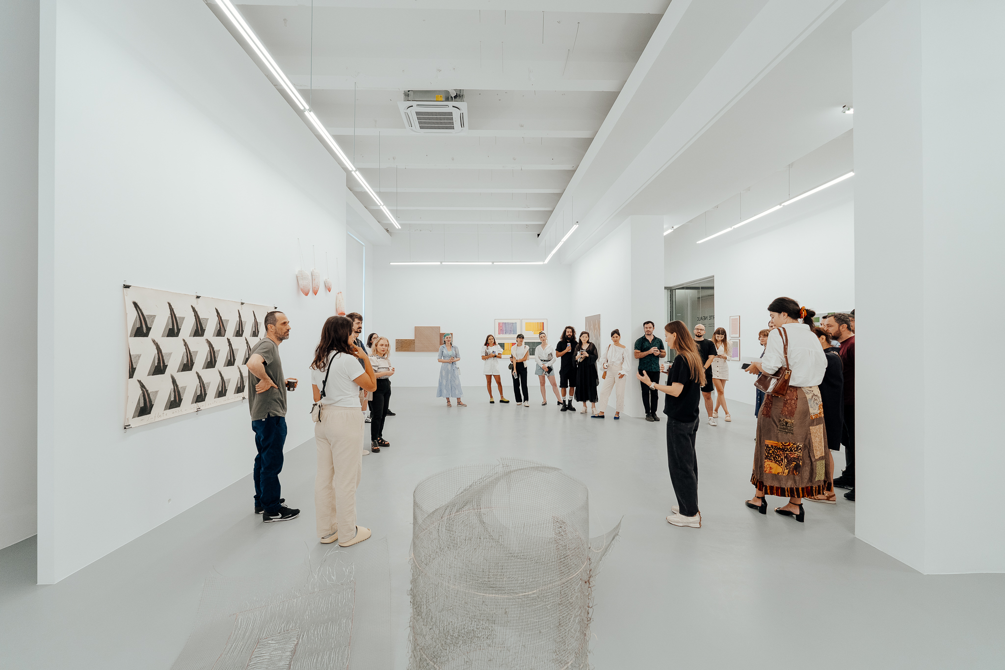 ARSMONITOR deschidere_3