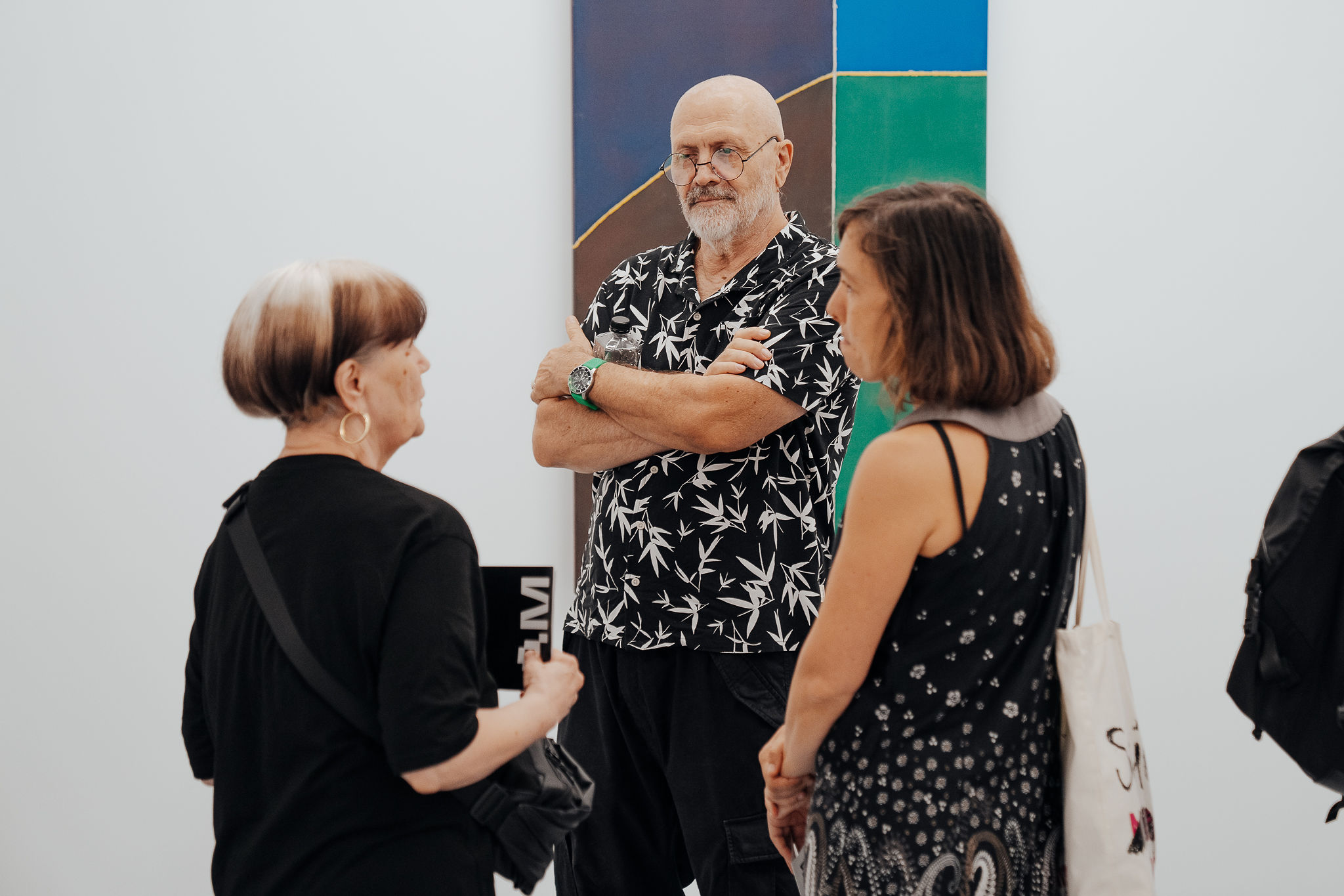 ARSMONITOR deschidere_6