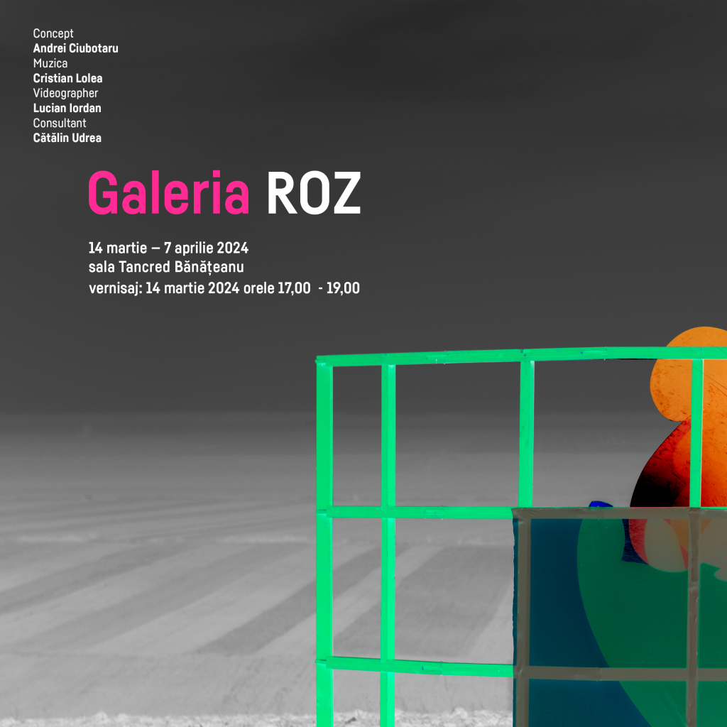 Galeria Roz creează un spațiu alternativ pentru arta contemporană