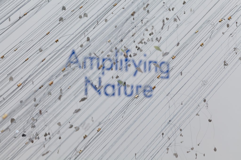 Note de bienală #4: Amplifying Nature