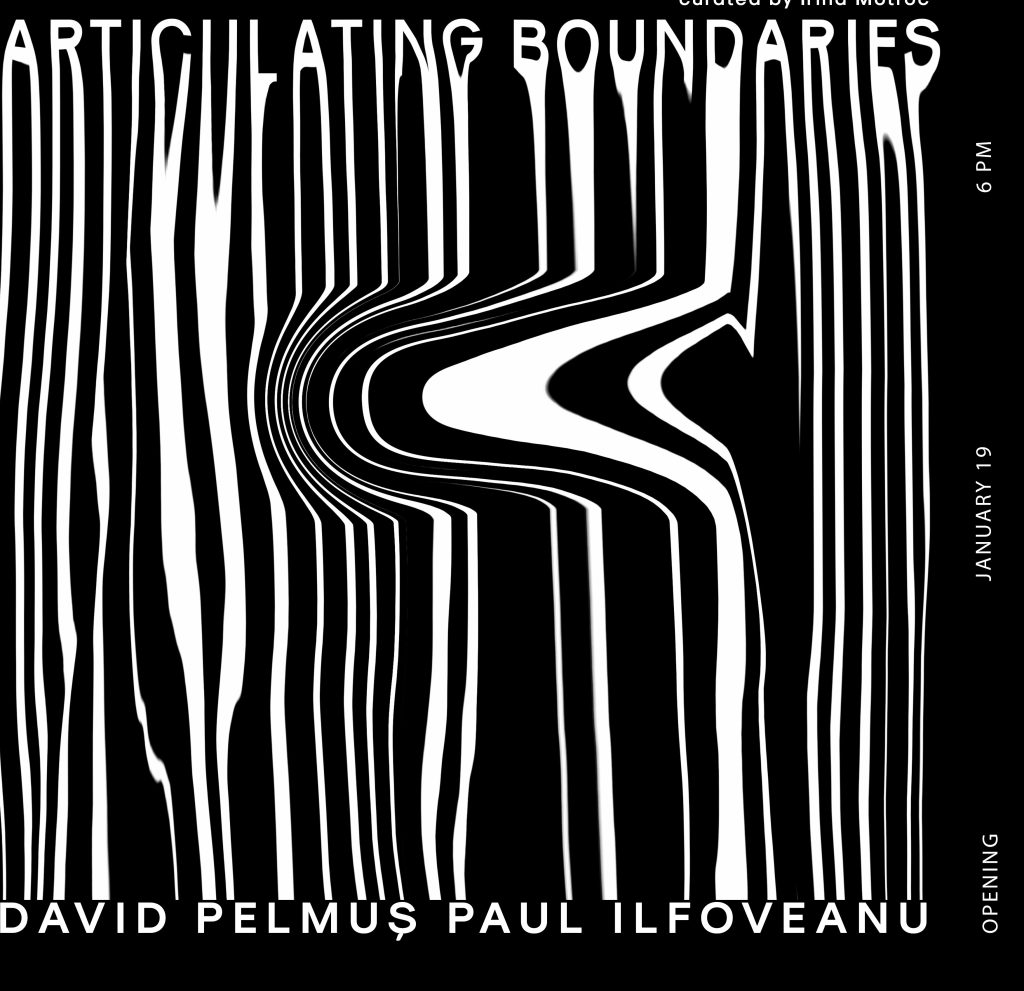 Articulating Boundaries, duo show Paul Ilfoveanu și David Pelmuș