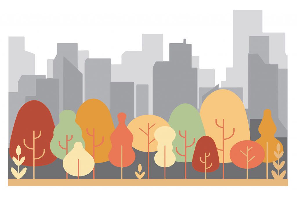 Orașele, o geografie subiectivă