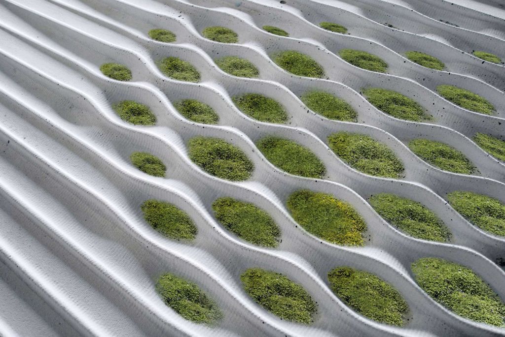 De ce e necesar să abordăm tema sustenabilității în arhitectură