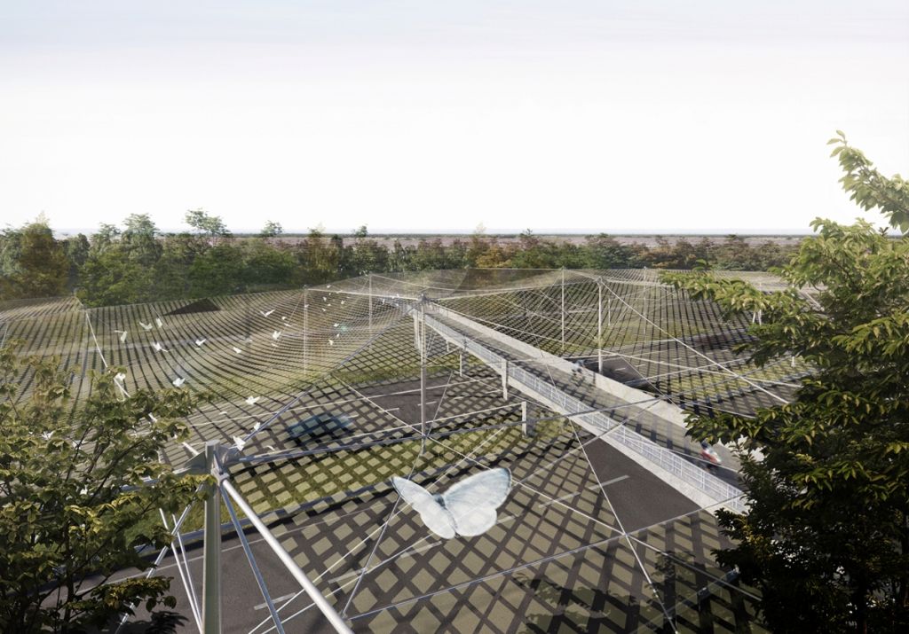 The Butterfly Effect. O propunere în favoarea ecosistemelor locale