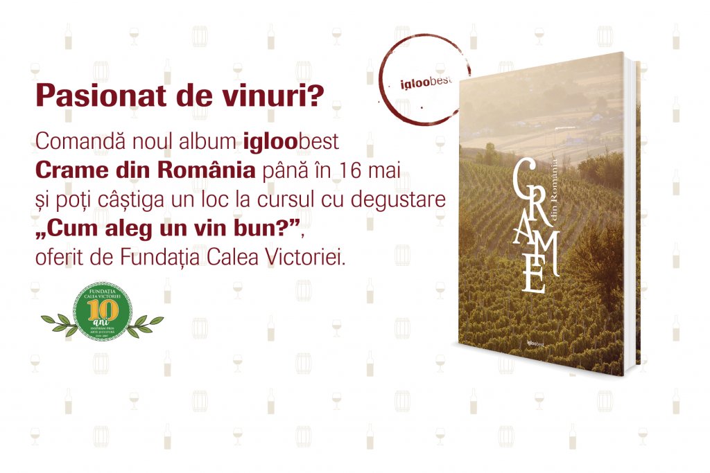 UPDATE: igloo & Fundația Calea Victoriei te invită la un nou concurs