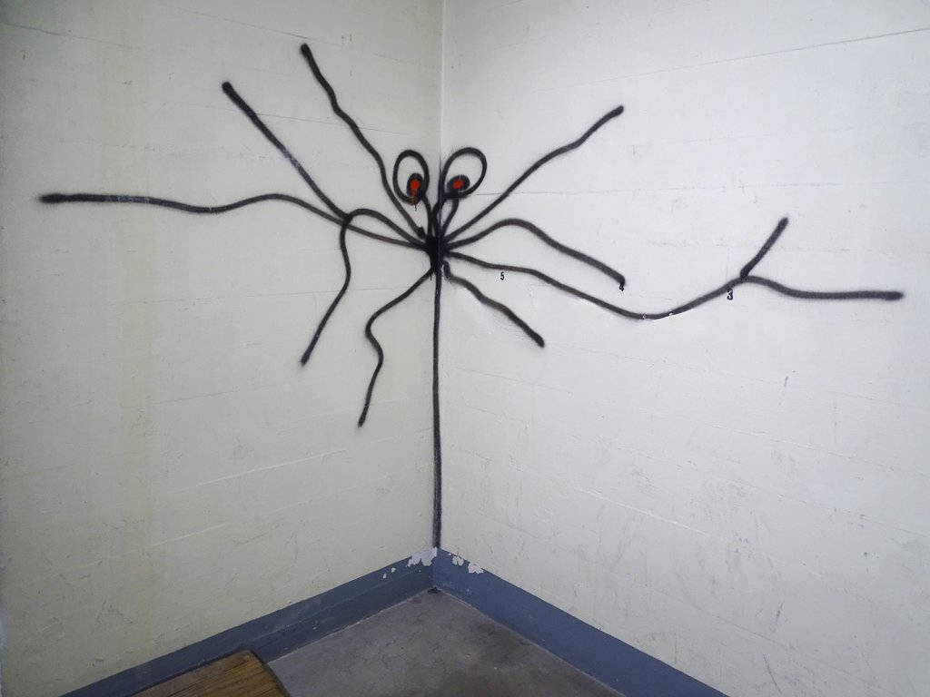 Profetul de graffiti