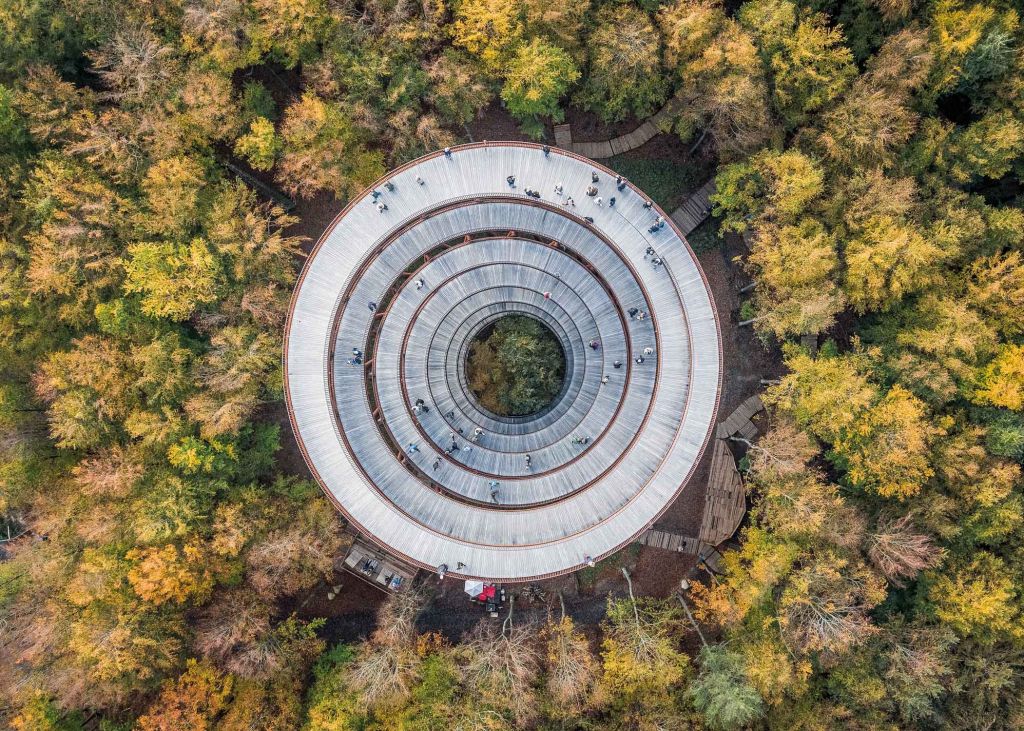 Privire peste pădurea boreală – Forest Tower