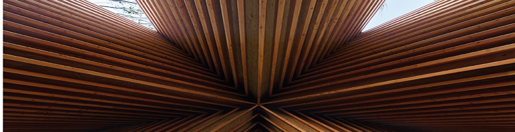 Şantierele falselor promisiuni