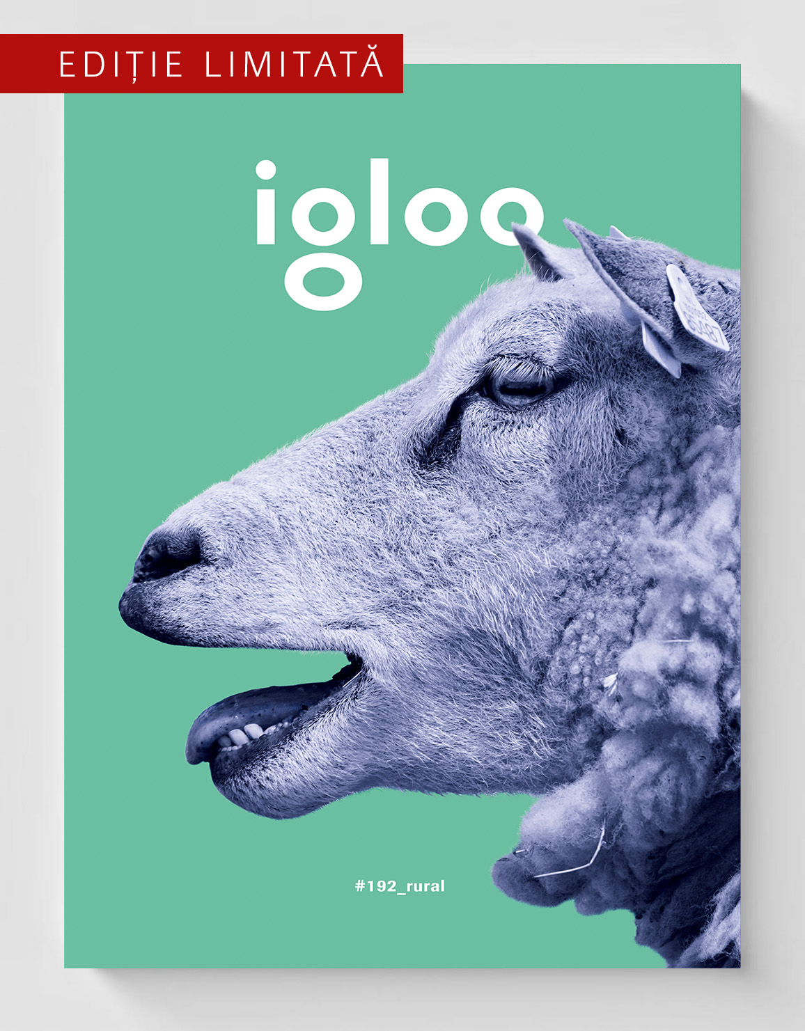 igloo special #192/ oct-nov 2019