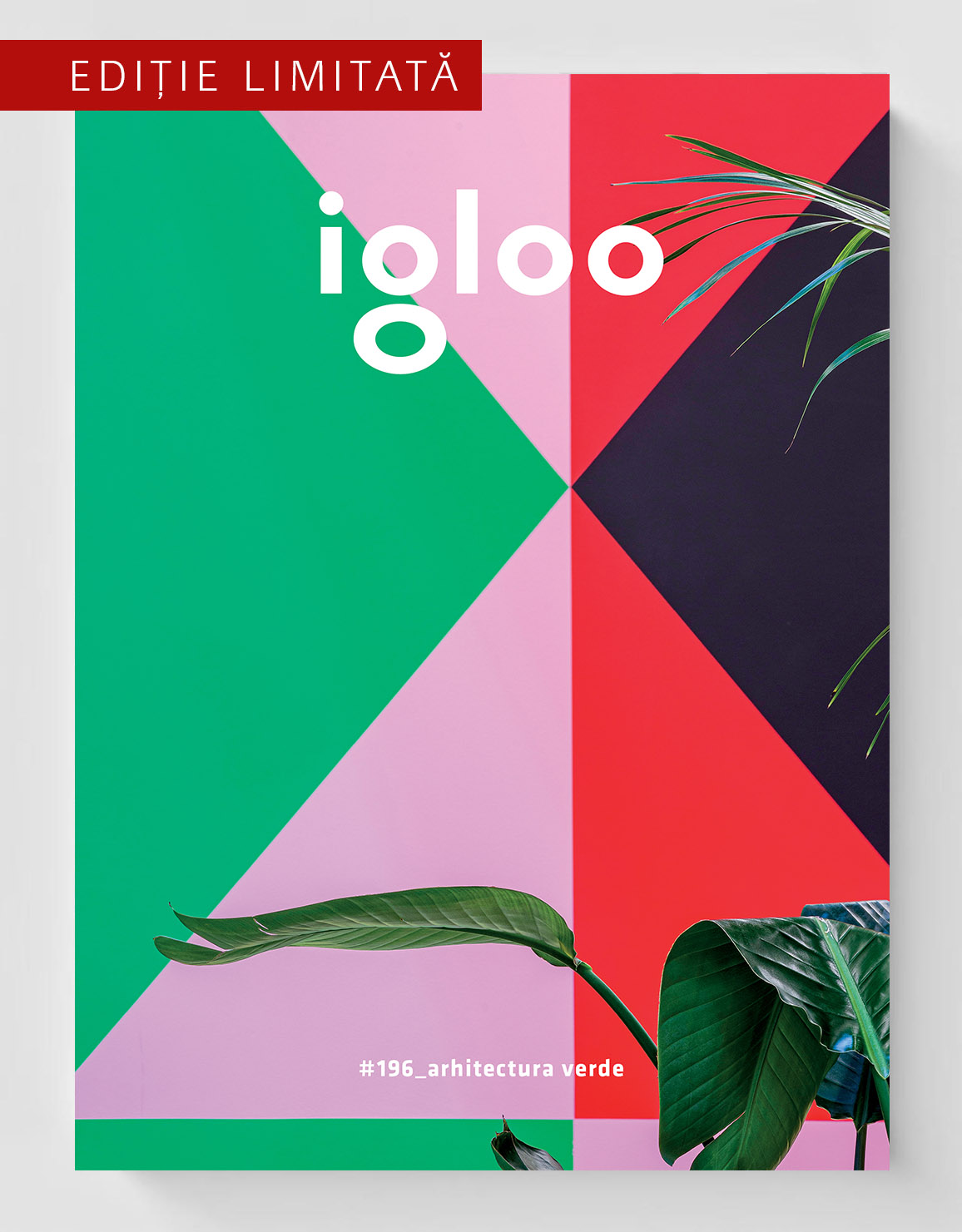 igloo special #196 / iunie-iulie 2020