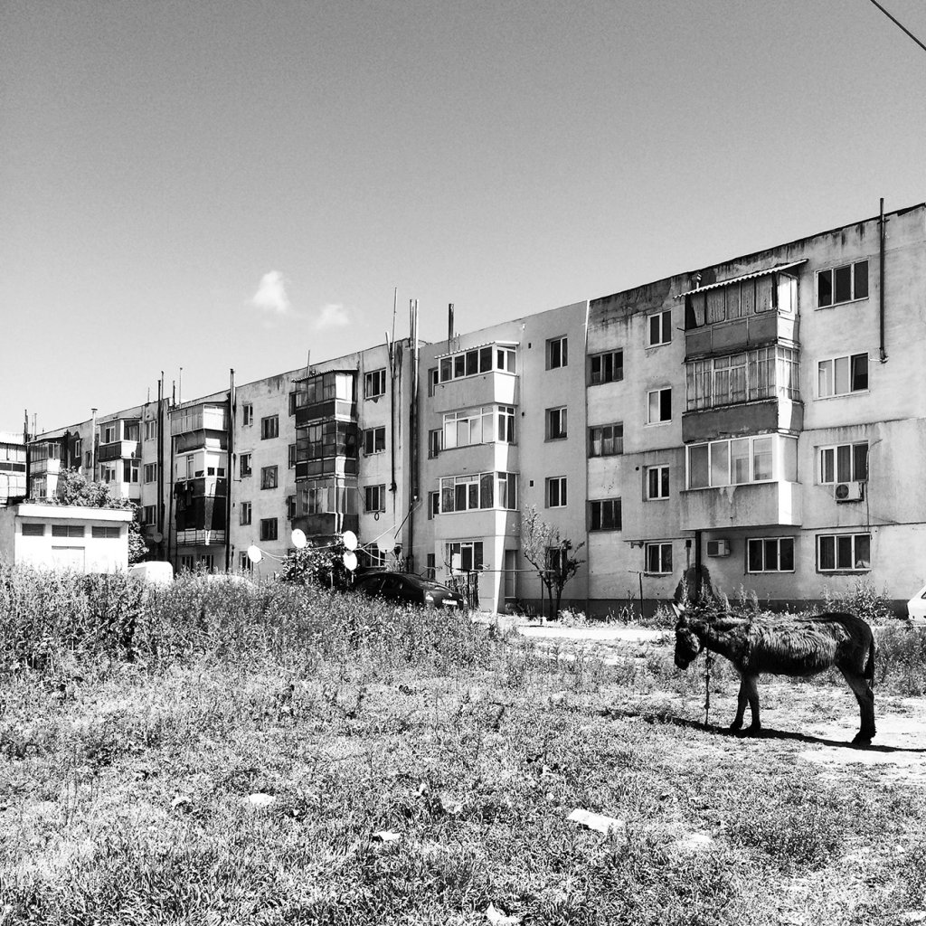 Pe malul celălalt, dar tot aici: Dobrogea exotică în 7 puncte