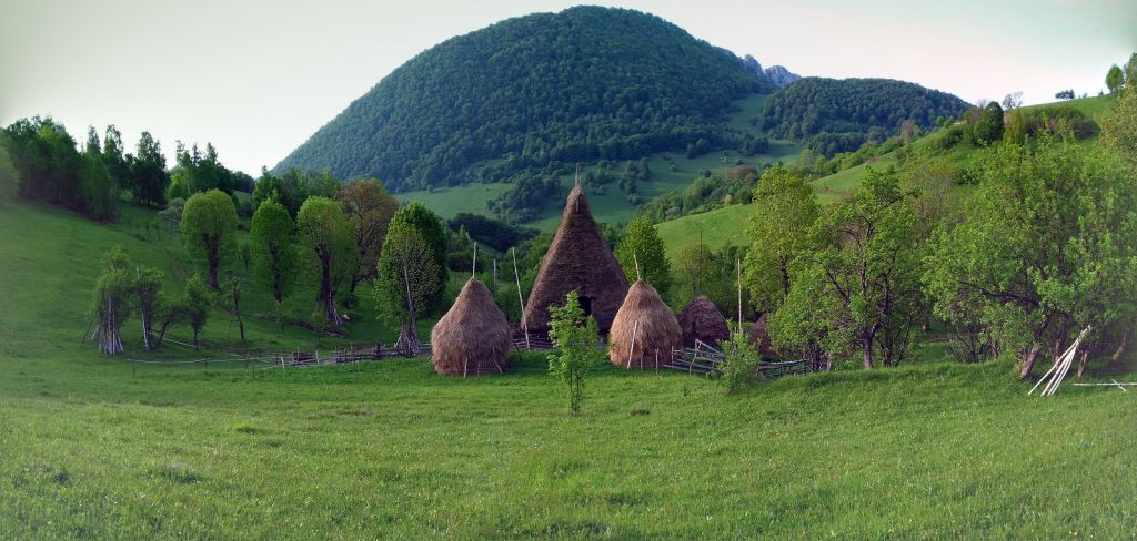 Vrei să fii voluntar? Contribuie la Muzeul Viu