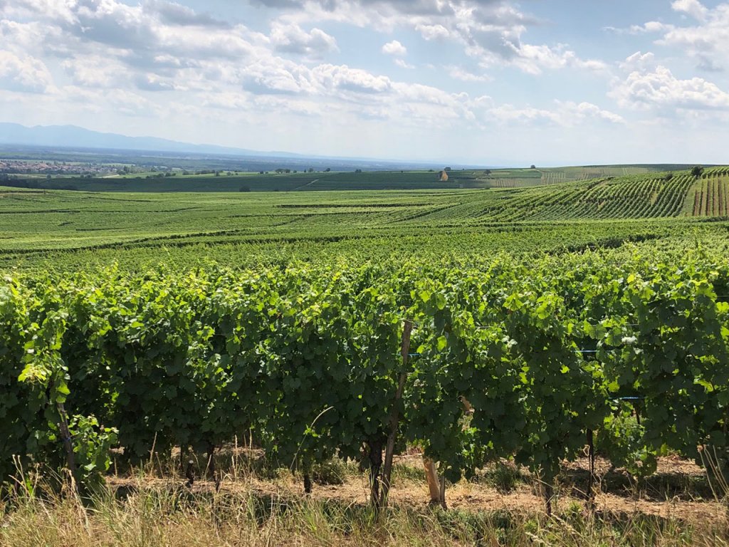 ALSACIA: rigurozitate și cochetărie / în patru escale