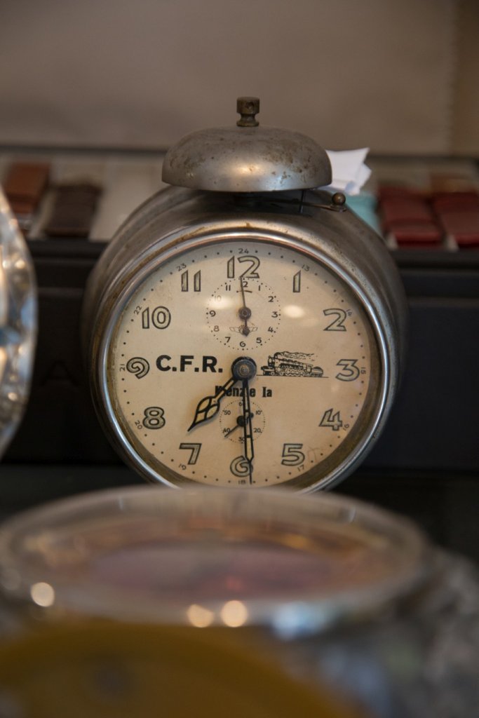 Pasiuni de familie: „Doar câinele și pisica nu știau ceasornicărie în casă”