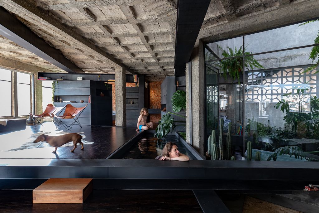 Pădurea din apartament, Quito, Ecuador