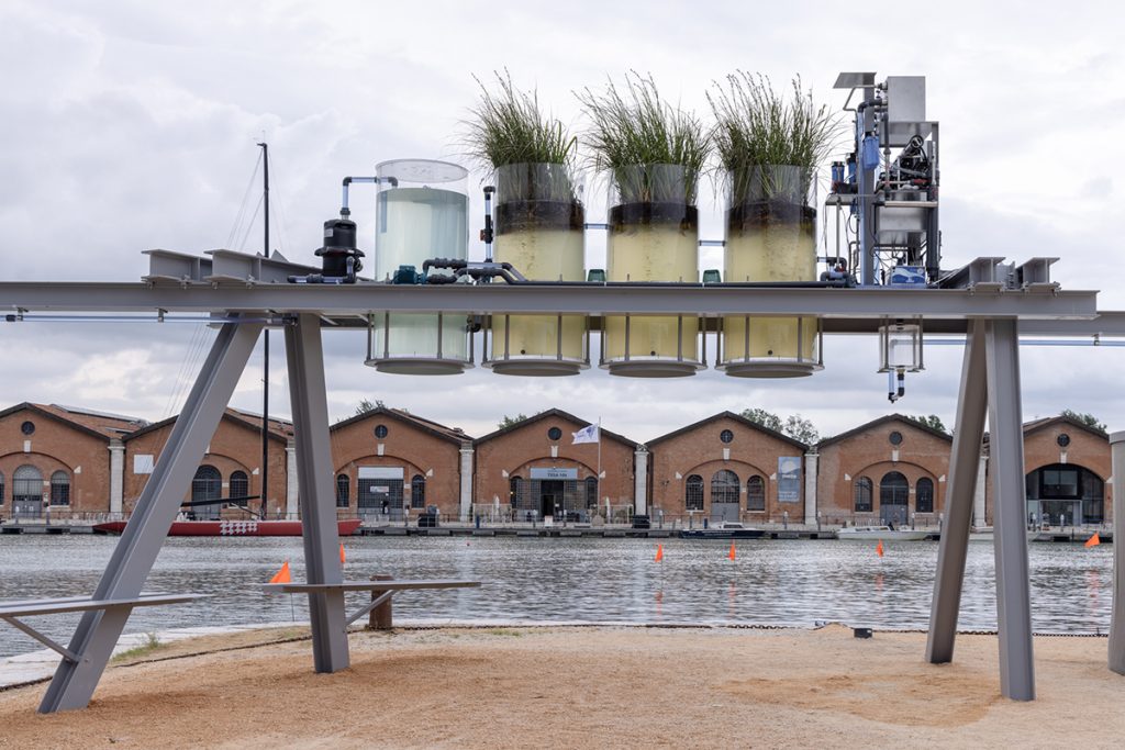 MZO-Canal Café-0894