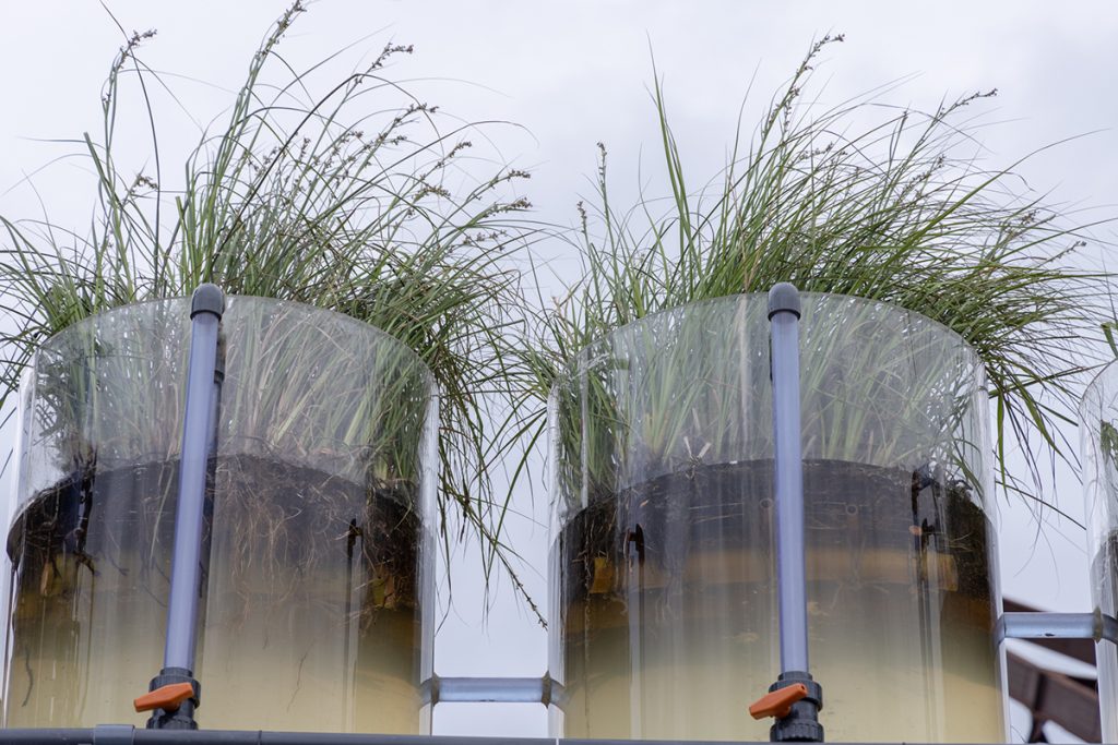 MZO-Canal Café-0905