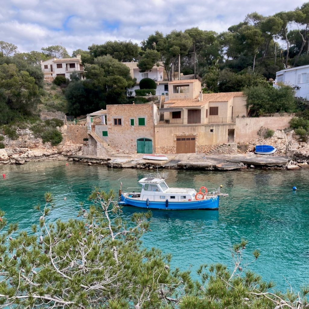 Mood board pentru un iunie 2023 #degustbun