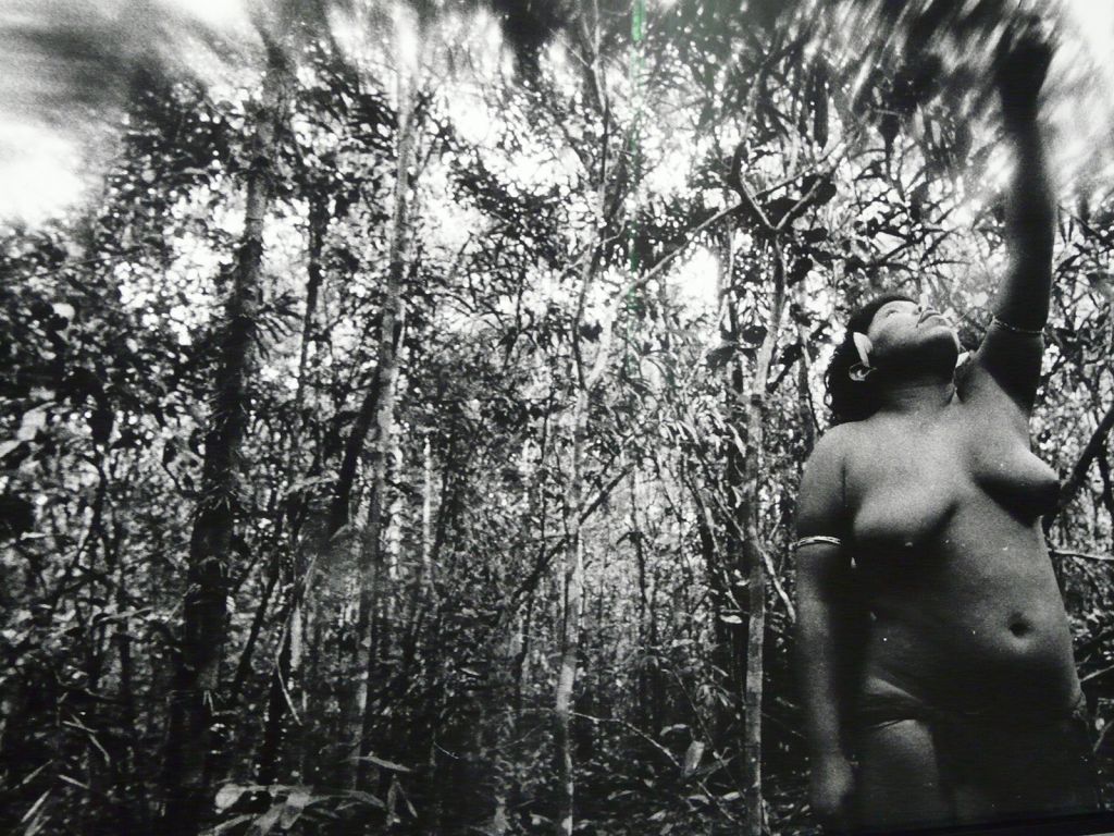 Casa – mare, casa shabono