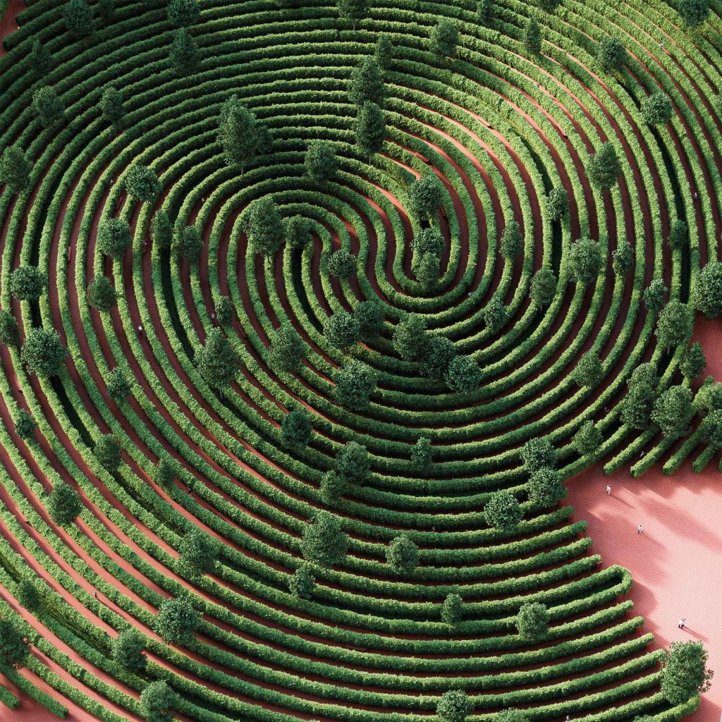 Izolaţi împreună – Parc de la Distance