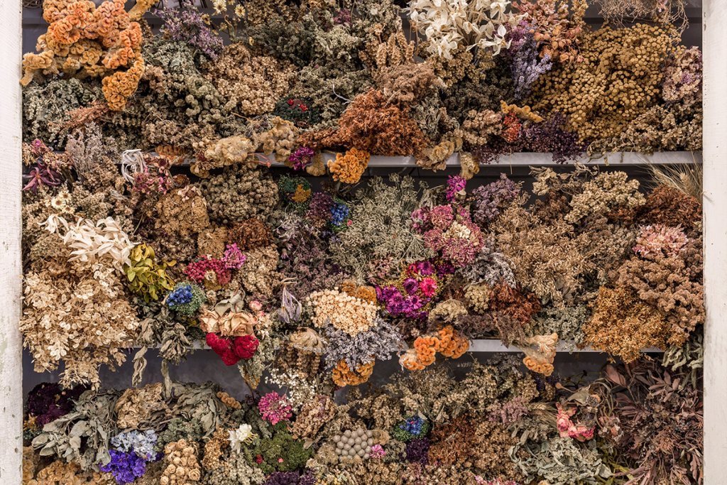 Ștefan Câlția. Obiecte grăitoare