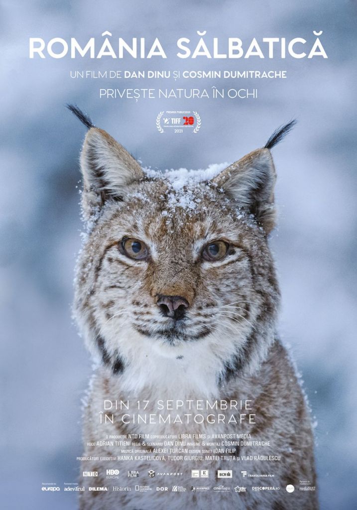 Natura neîmblânzită de lângă noi, şi cei care o arată aşa cum nu a mai fost văzută. De vorbă cu Dan Dinu şi Cosmin Dumitrache despre documentarul România Sălbatică, acum în cinematografe