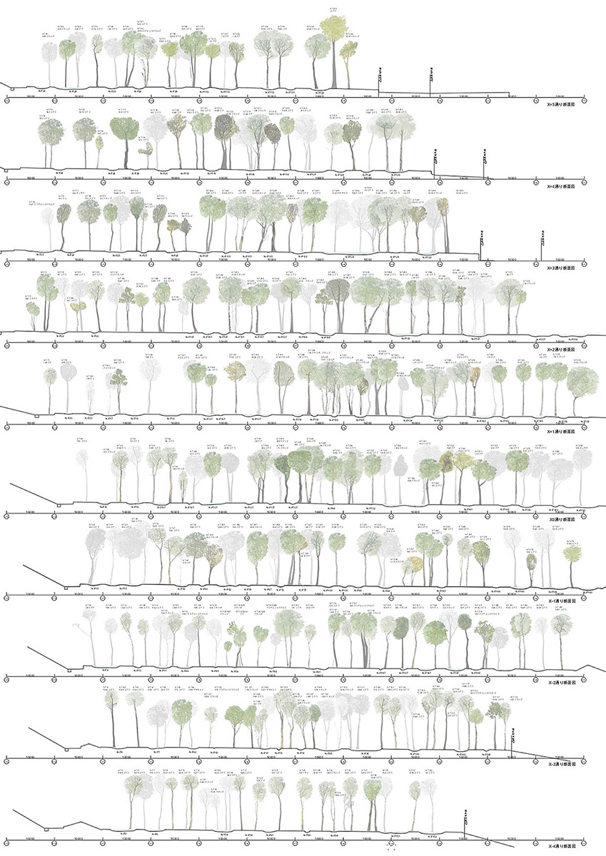 Section - junya.ishigami+associates
