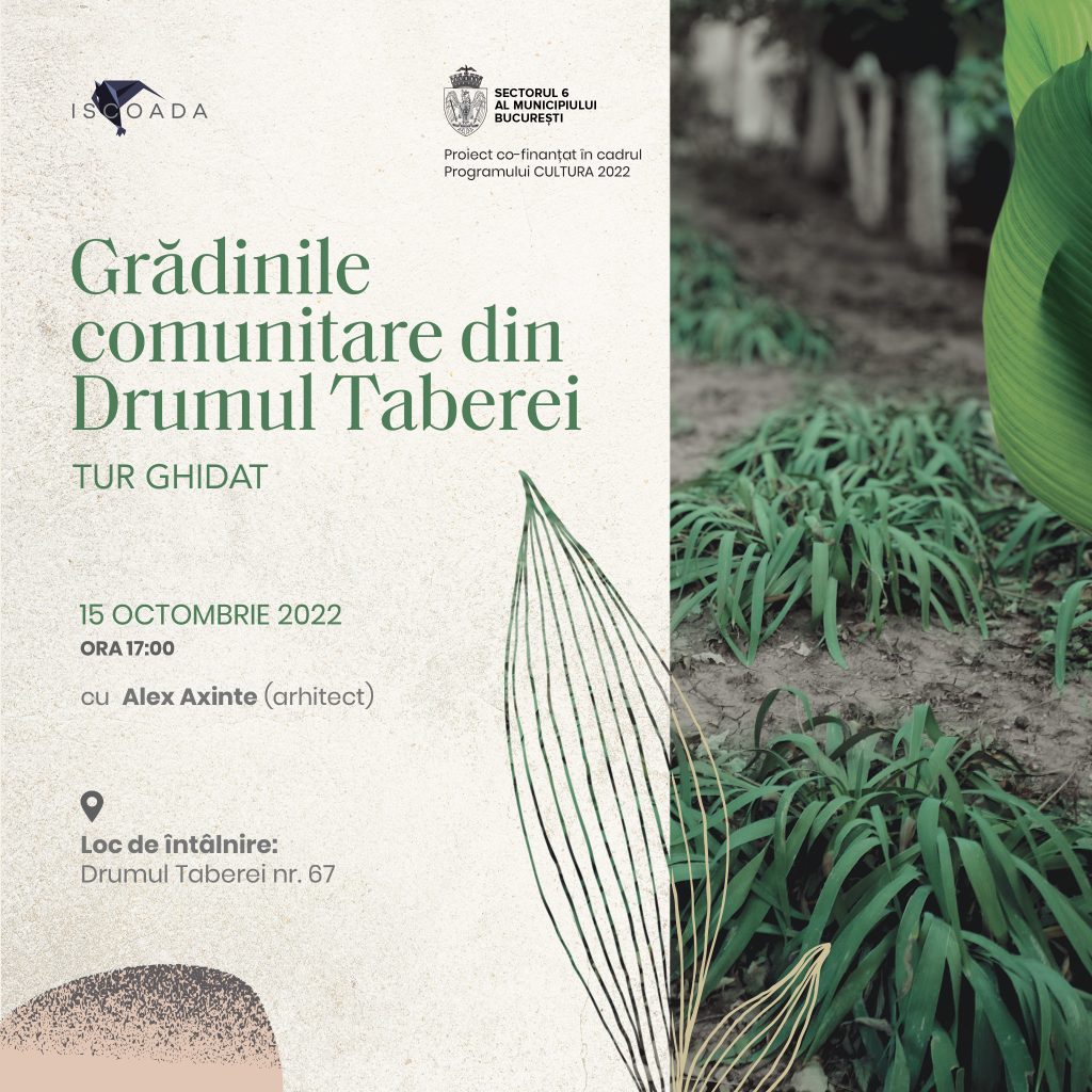 Grădinile comunitare din Drumul Taberei | 15 octombrie