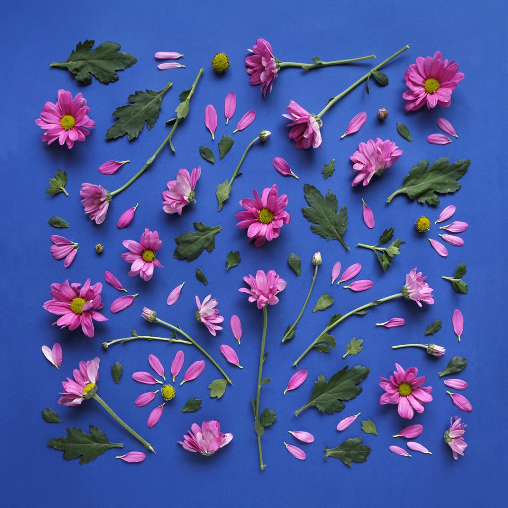 5 locuri unde poți citi revista igloo în această vară