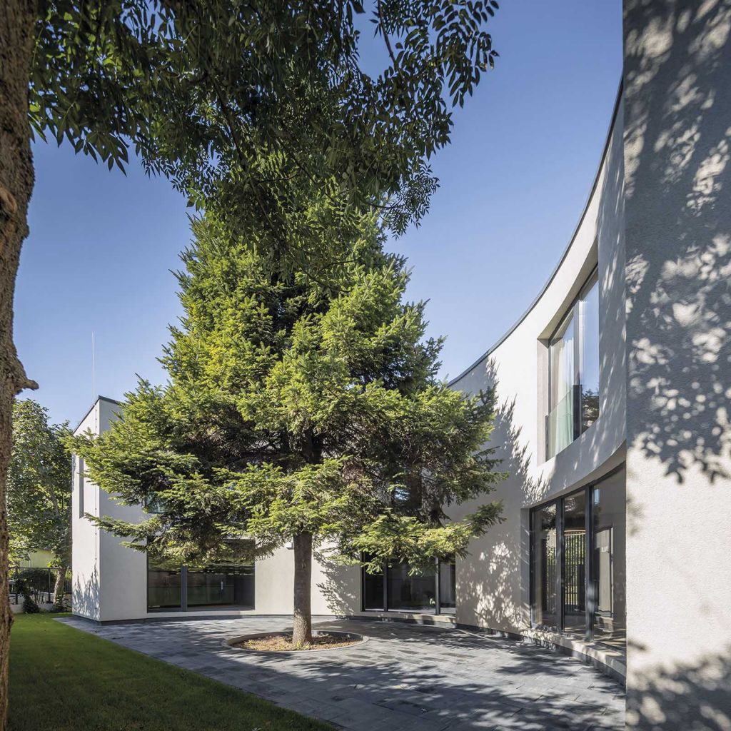 Proiect câştigător la Anuala de Arhitectură Bucureşti 2021: Casa cu copac. Natură printre și dincolo de ziduri