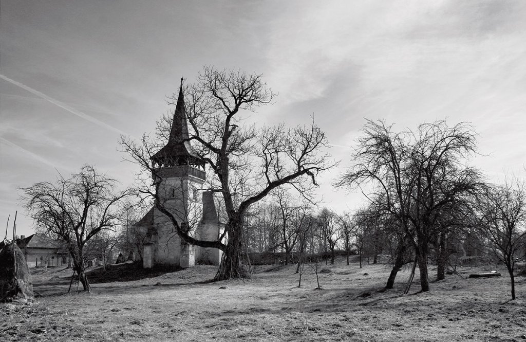 Șerban Bonciocat: „Poți urmări o temă, dar poți să te și lași bântuit de ea”