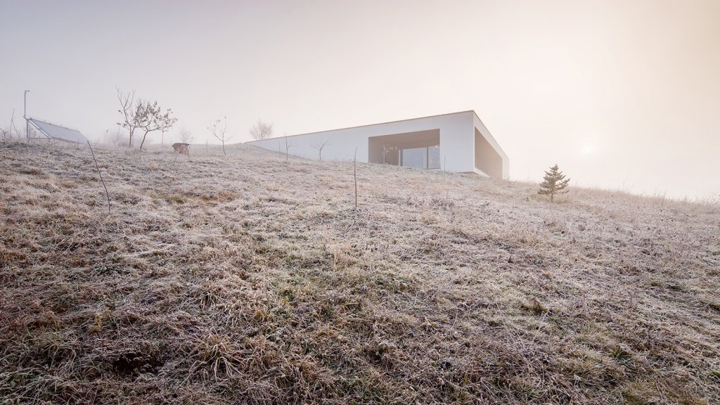 Casa T – armonie prin complementaritate