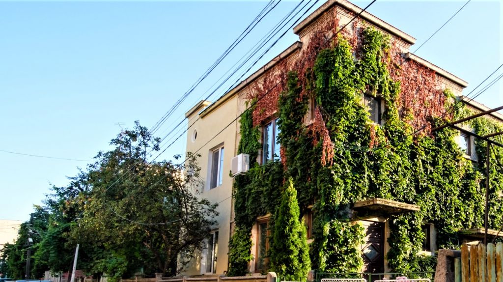 Francezii descoperă cartierul Vatra Luminoasă, modelul „orașului-grădină în București“
