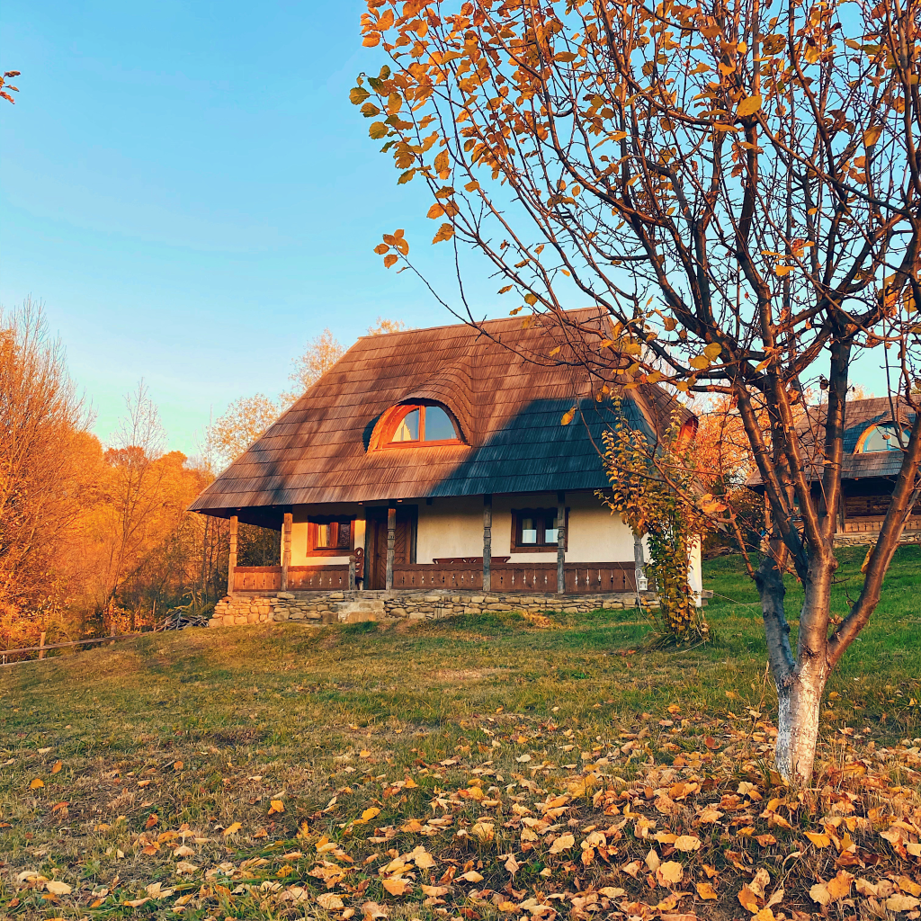 Albastru și Origini: o incursiune în satul contemporan