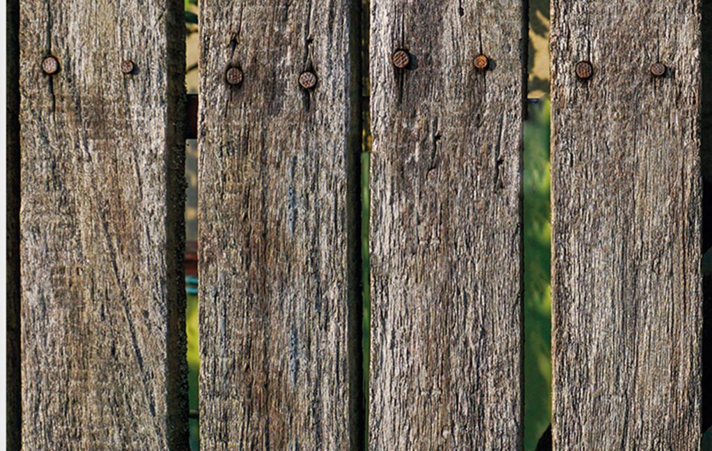 Editorial #192: Vorbind despre rural cu o gheară în suflet