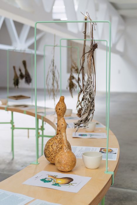 1_mk2_@alexandrutodirica