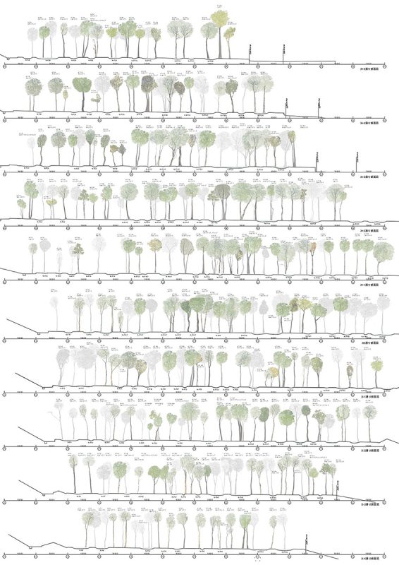 Section - junya.ishigami+associates