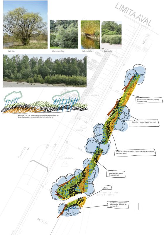 /Users/skaa/Dropbox/skaa/167 MUZEU IVAN/167.1 MONUMENT Tulcea/16