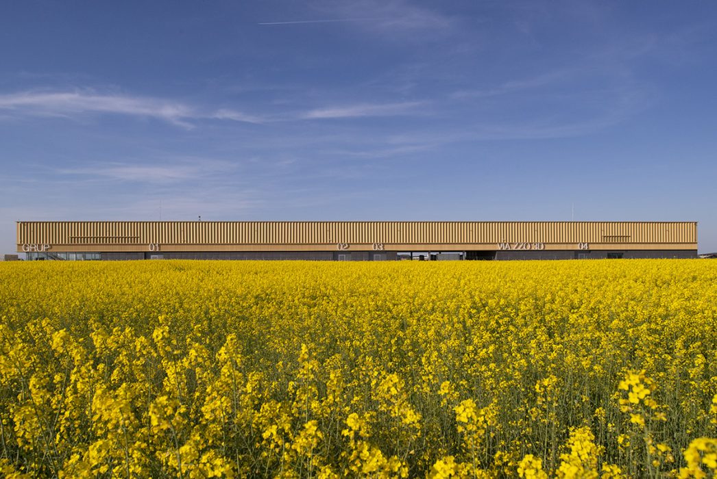 text2_1. ENE+ENE ARHITECTURA, sediul Aragon Grup