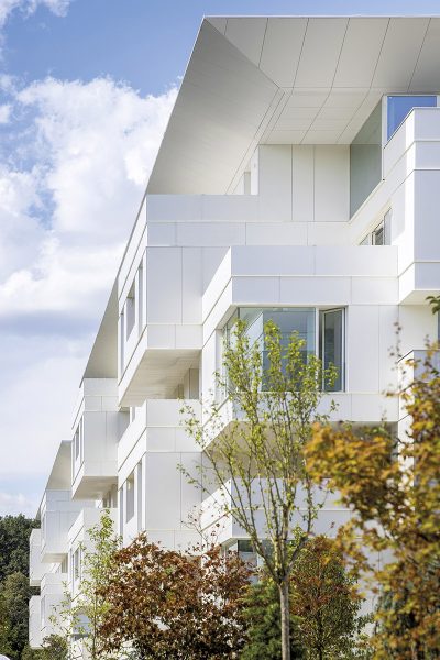 text2_STJ_005_IMG_9057_vladpatru