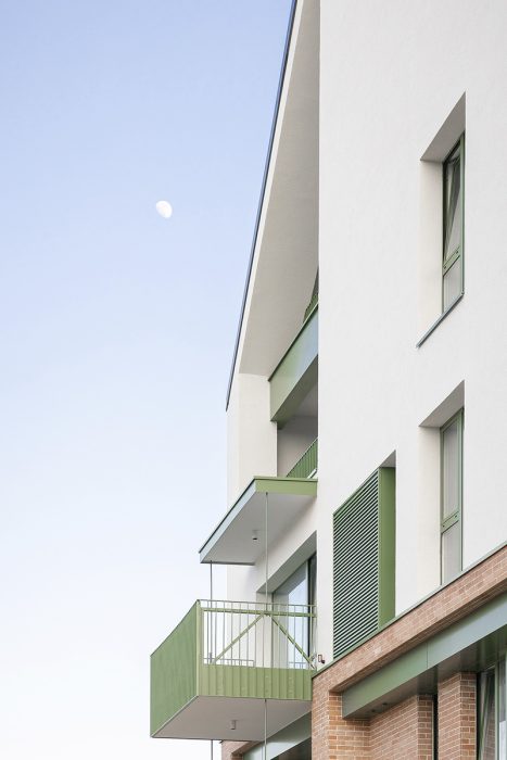 _text3_SLH_008_IMG_2274_vladpatru