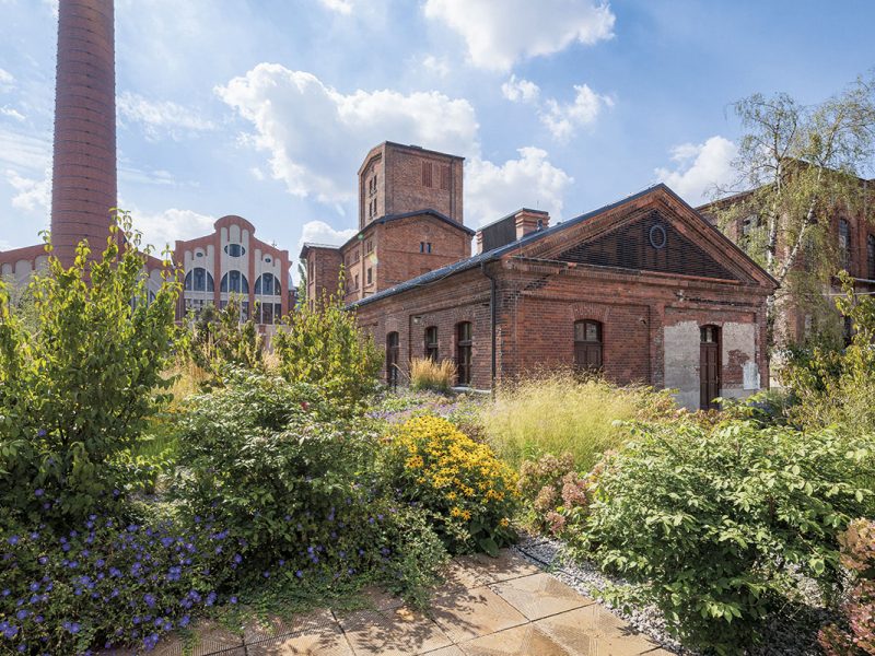 fuzja-ogrody-anny_IMG_5525