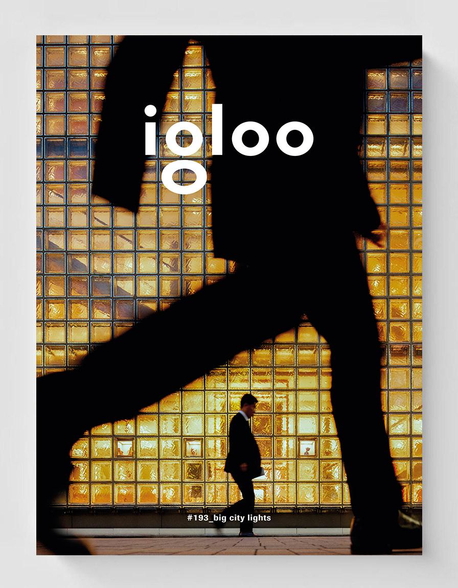 igloo #193/ dec 2019-ian 2020