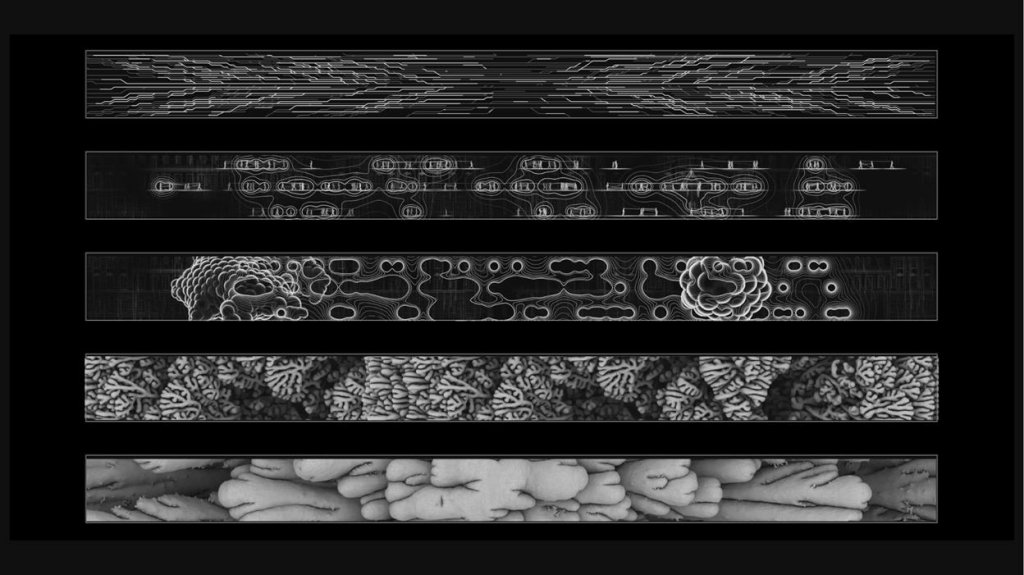 BEHAVIOUR MORPHE  în premieră la Schlosslichtspiele Festival