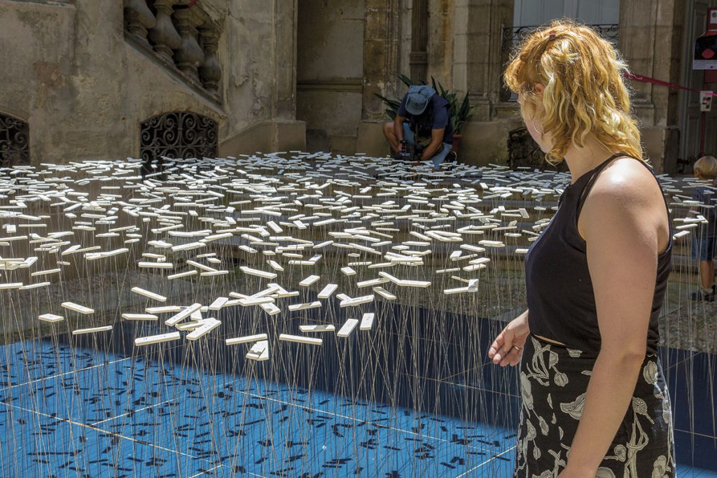 _montpellier1_Les fleurs de la maladie (4)