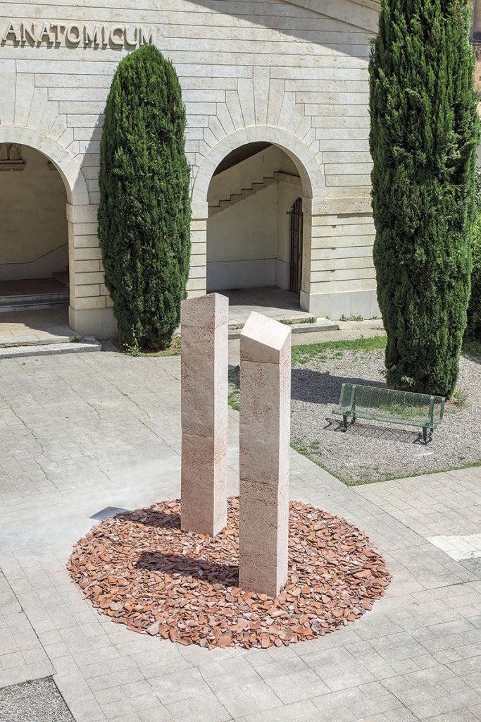 _montpellier2_Matiere morte (4)