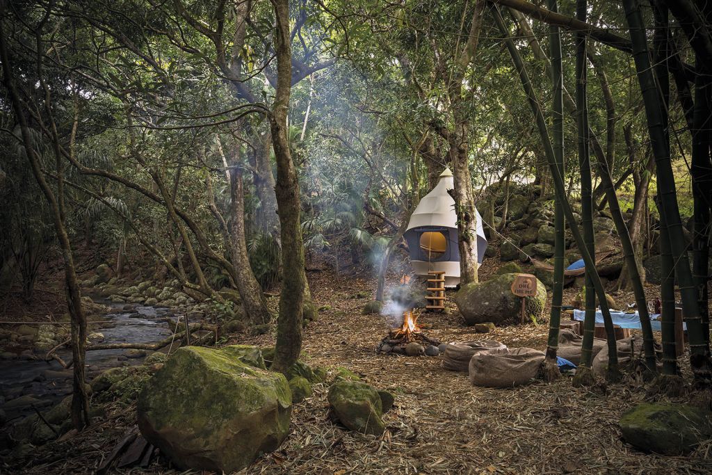 Out of the City: The Seedpod sau evadarea pop-up în vremuri pandemice