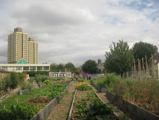 Hands-on urbanism 1850-2012