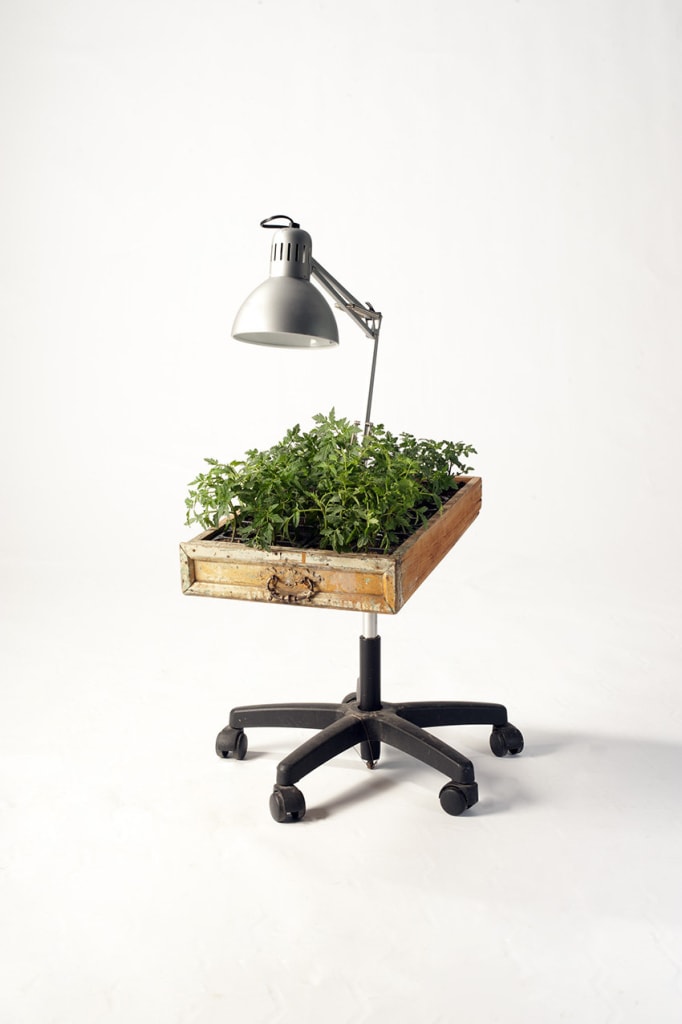 Peter Botazzi şi Denise Bonapace. Da Morto A Orto